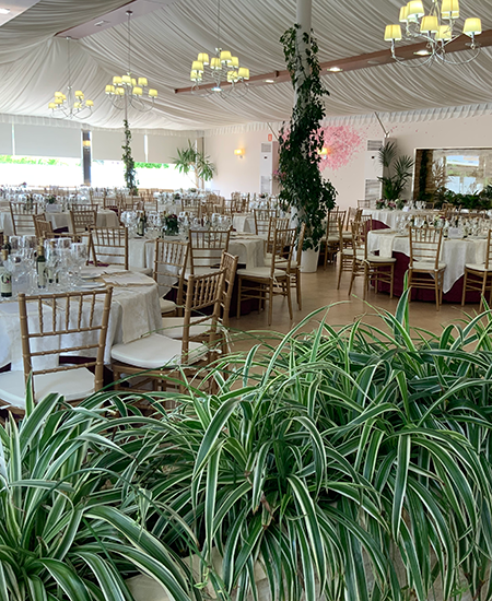 Los Jardines de Utrera